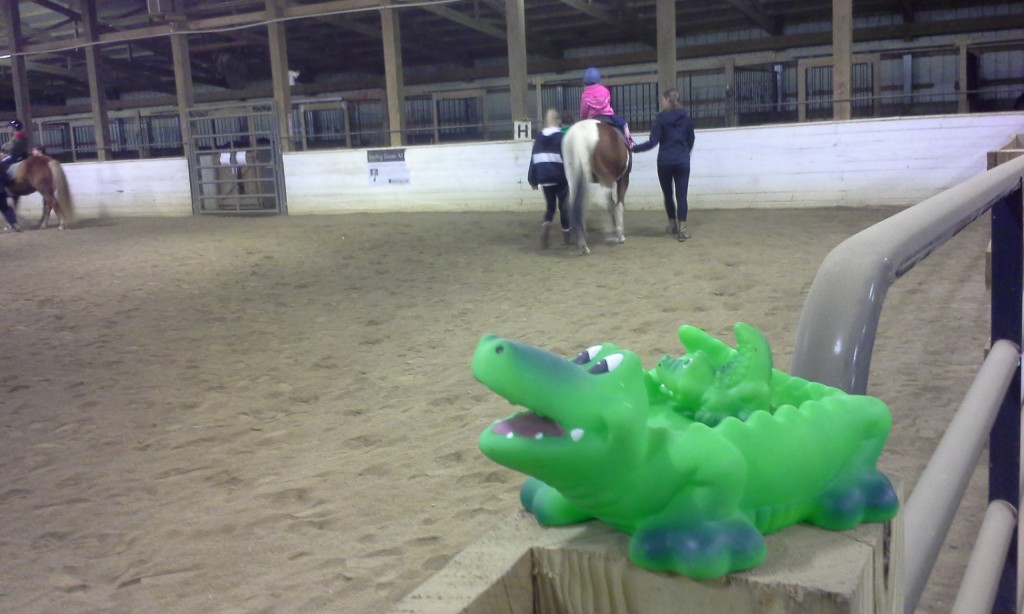 Calf Roping Game - Lessons In TR