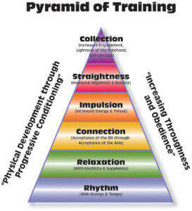 Pyramid_of_training