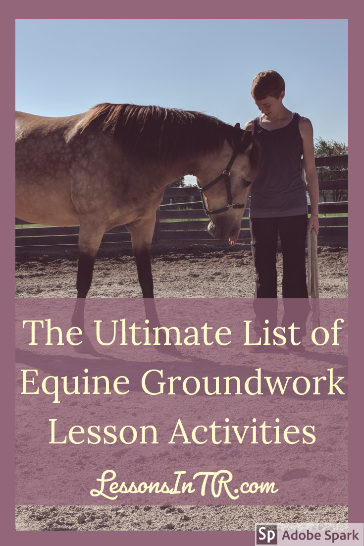 The Ultimate List of Equine Groundwork Lesson Activities Lessons In TR